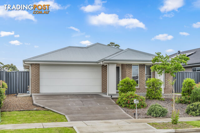 19 Springfield Drive LOCHINVAR NSW 2321