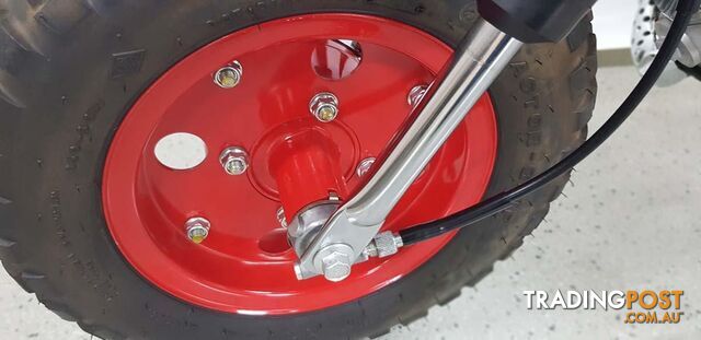 2007 Honda 40th Anniversary Monkey - photo 4 of 31