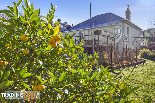 44 Fitzroy Place DYNNYRNE TAS 7005