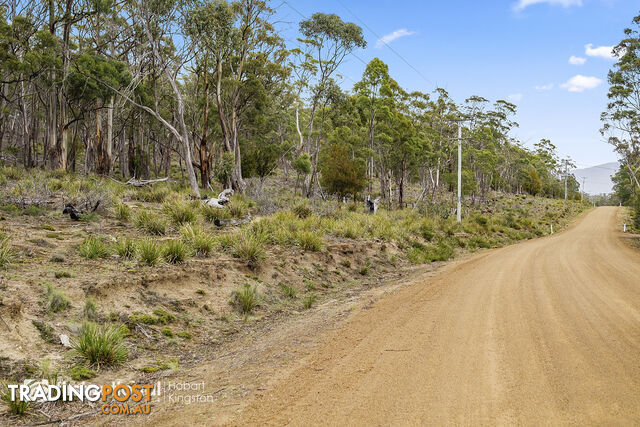 Lot 3 Apollo Bay Road APOLLO BAY TAS 7150