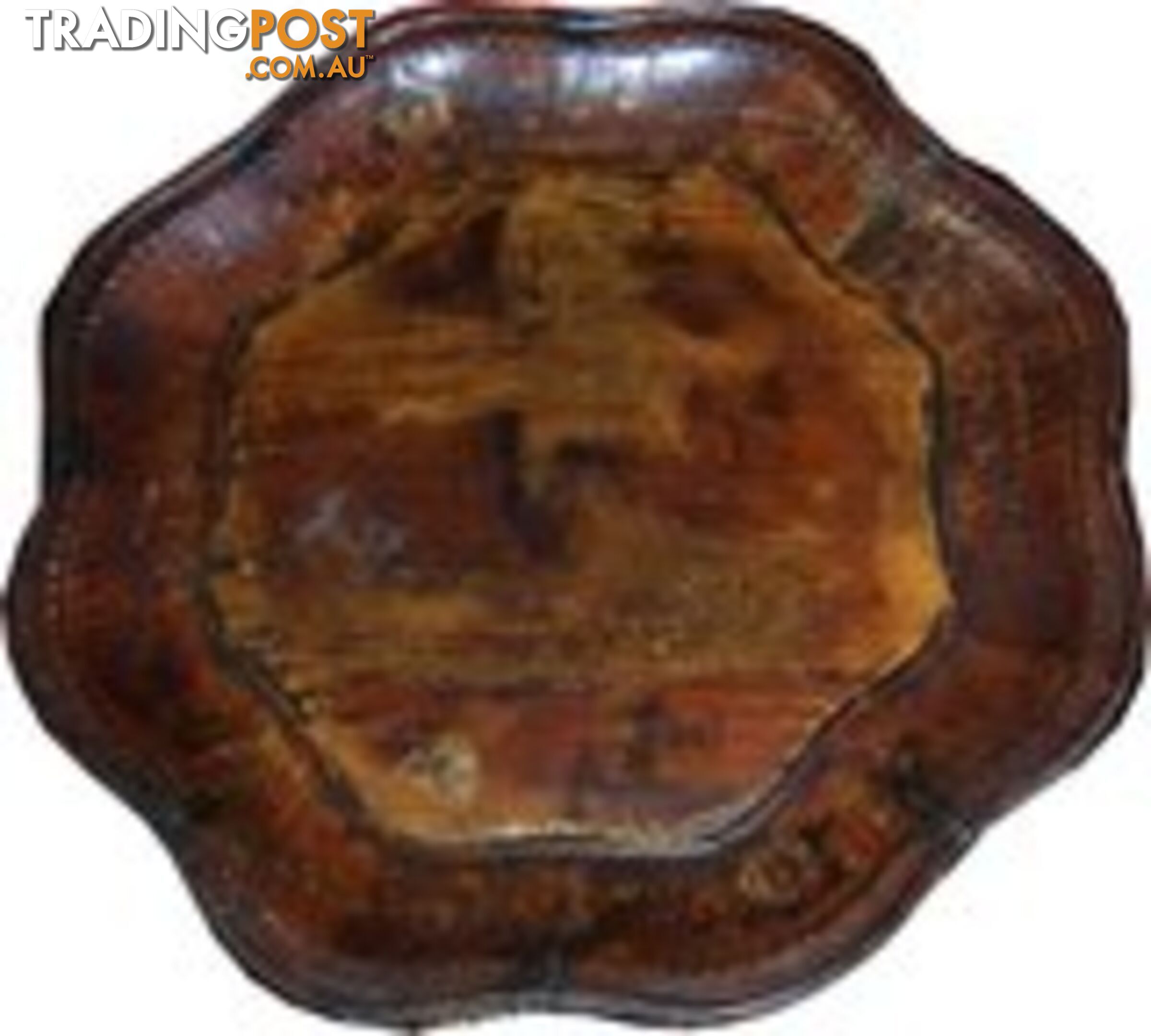 Brown Chinese Painted Display Plate