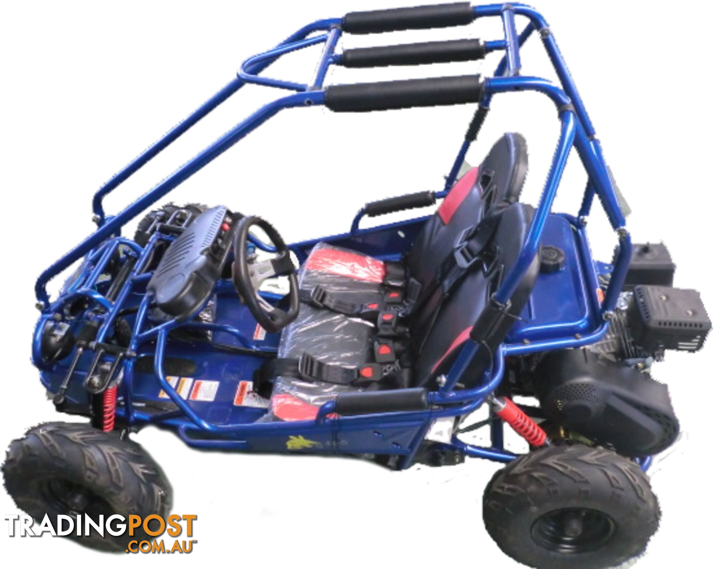 Bilby 160 5.5HP Kids Go Kart