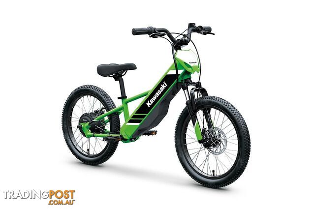 2025 KAWASAKI ELEKTRODE 20
