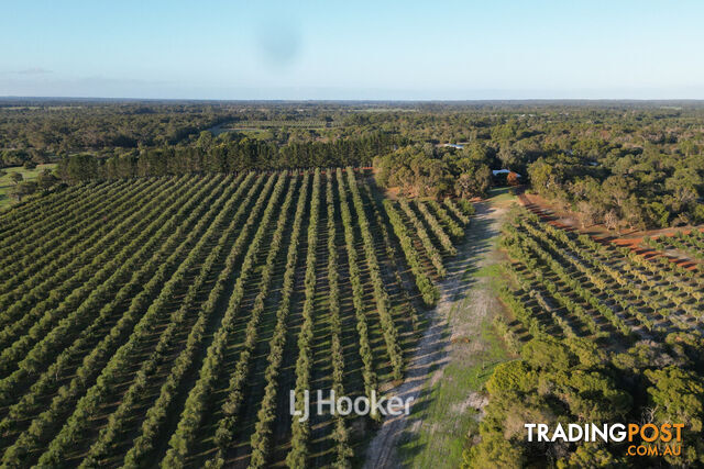 50 Treemartin Road CARBUNUP RIVER WA 6280 - photo 3 of 25