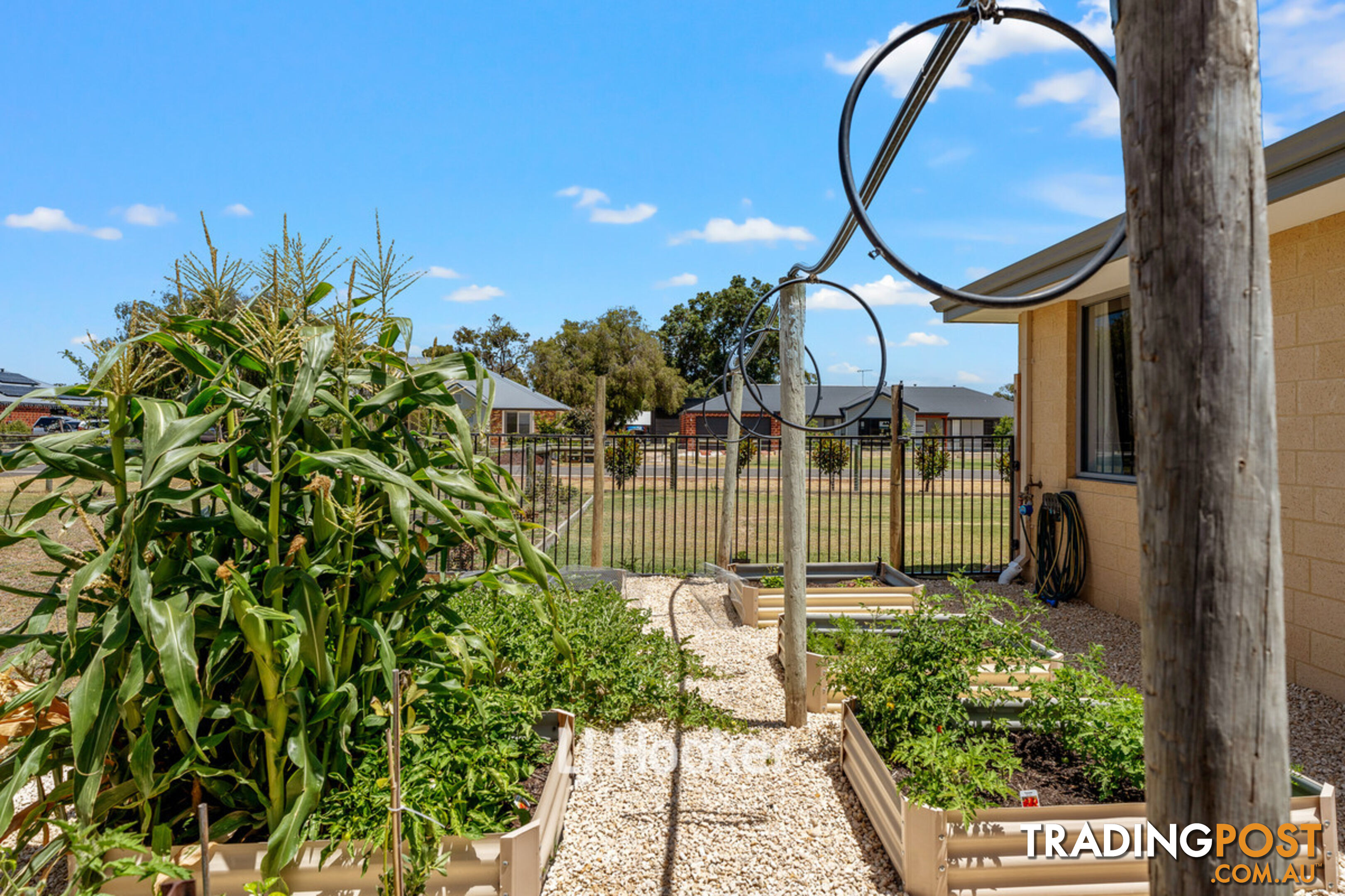 22 Whimbrel Way VASSE WA 6280