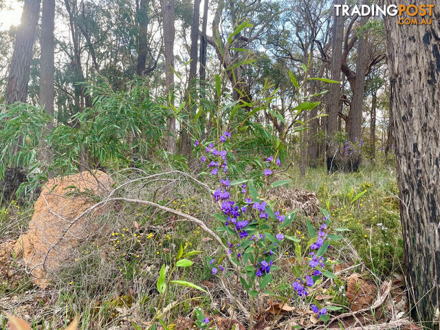 16 Truffle Circuit COWARAMUP WA 6284 - photo 5 of 5