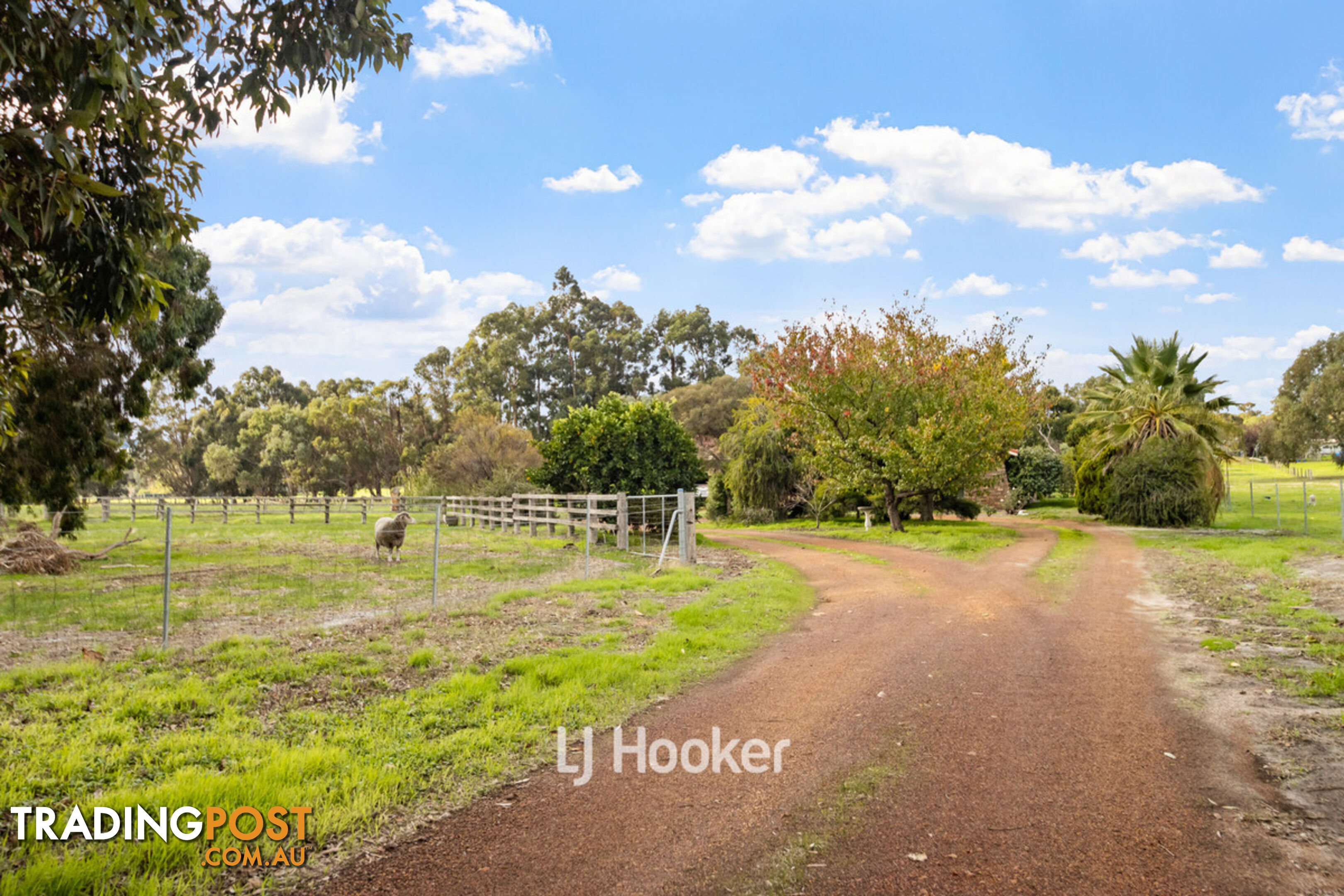 97 Preston Road COLLIE WA 6225