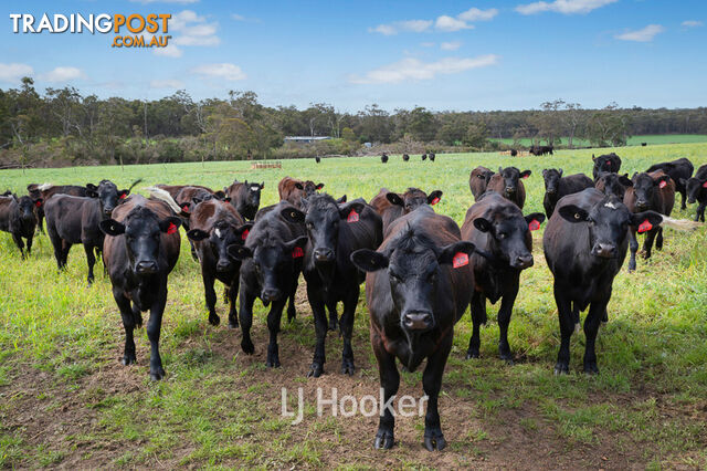 498 Carbunup Road South TREETON WA 6284