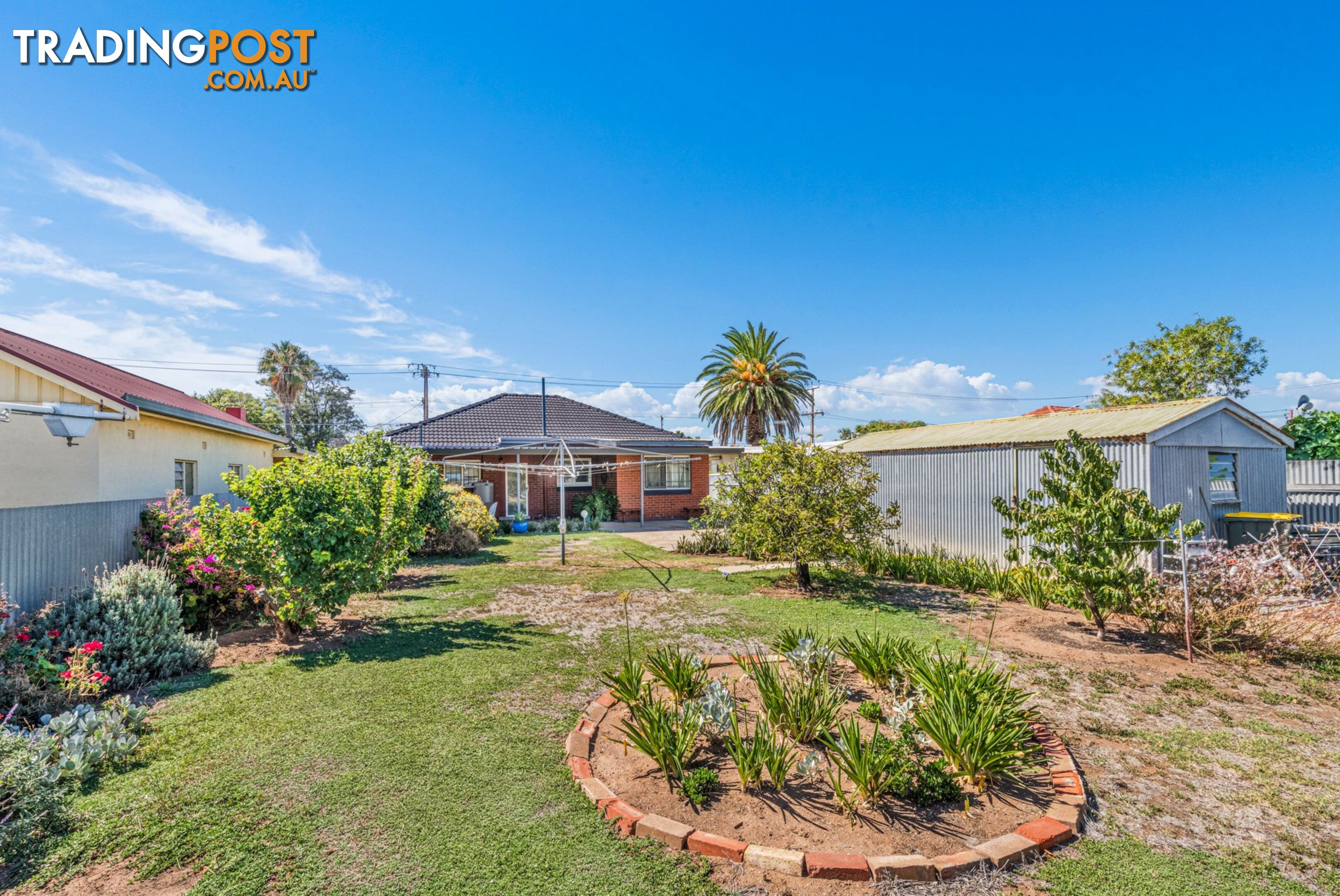 56 Alicia Street ATHOL PARK SA 5012