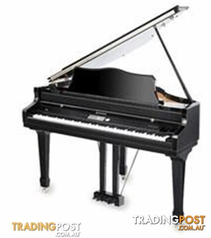 Dynatone VGP3000 GRAND PIANO - photo 3 of 3