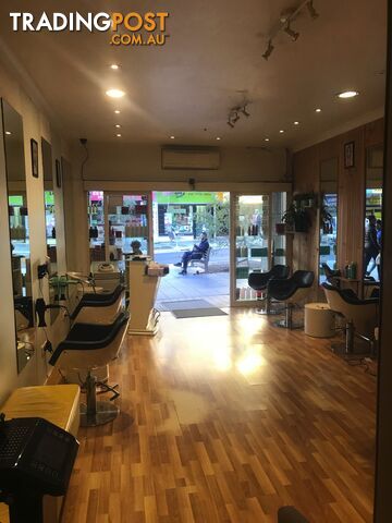 19 Hercules Street Ashfield NSW 2131