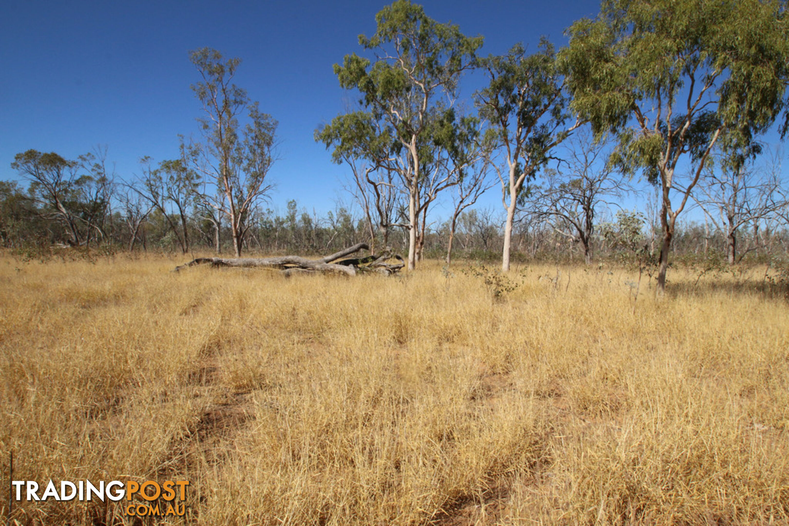 Lara Station Landsborough Highway BARCALDINE QLD 4725