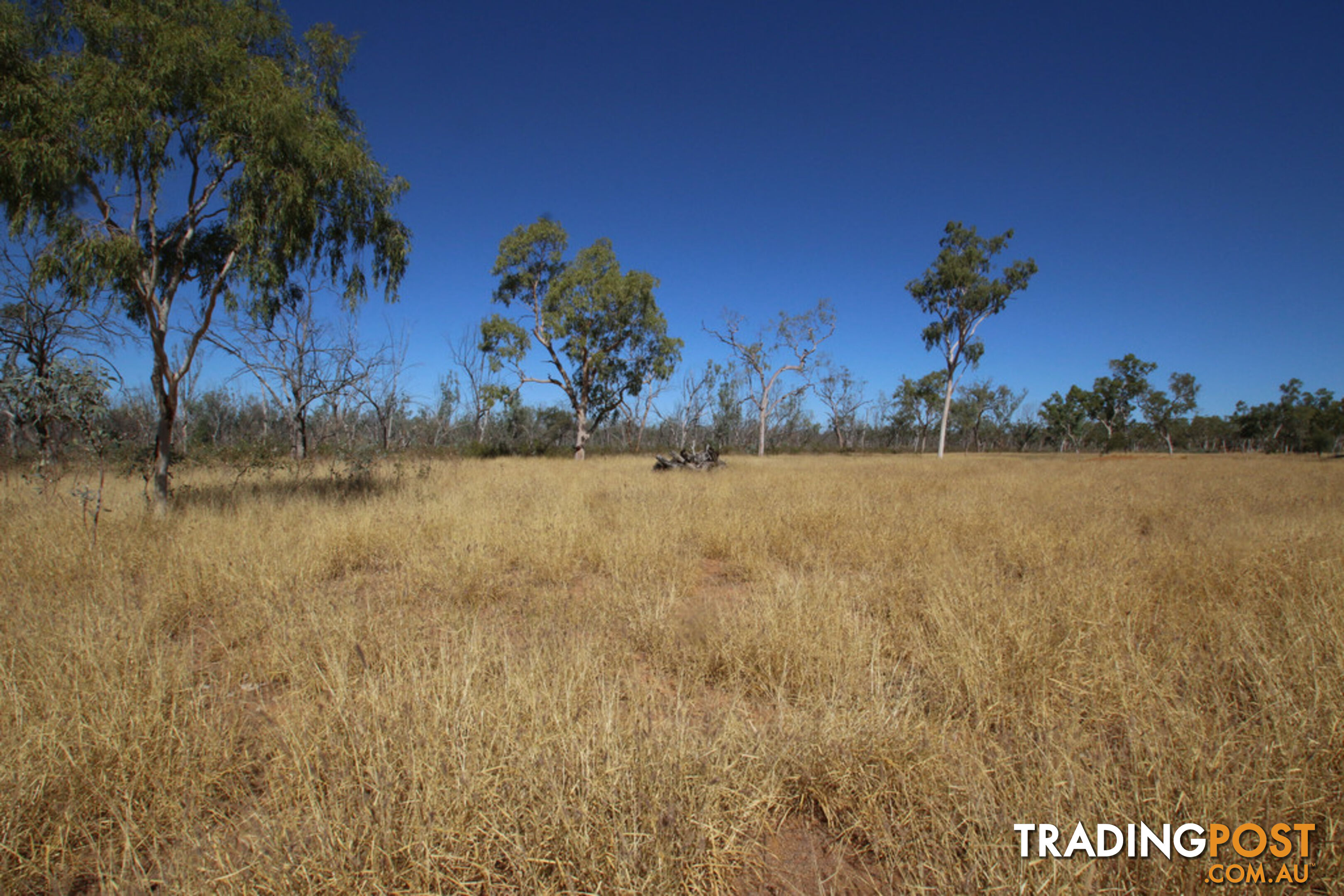 Lara Station Landsborough Highway BARCALDINE QLD 4725