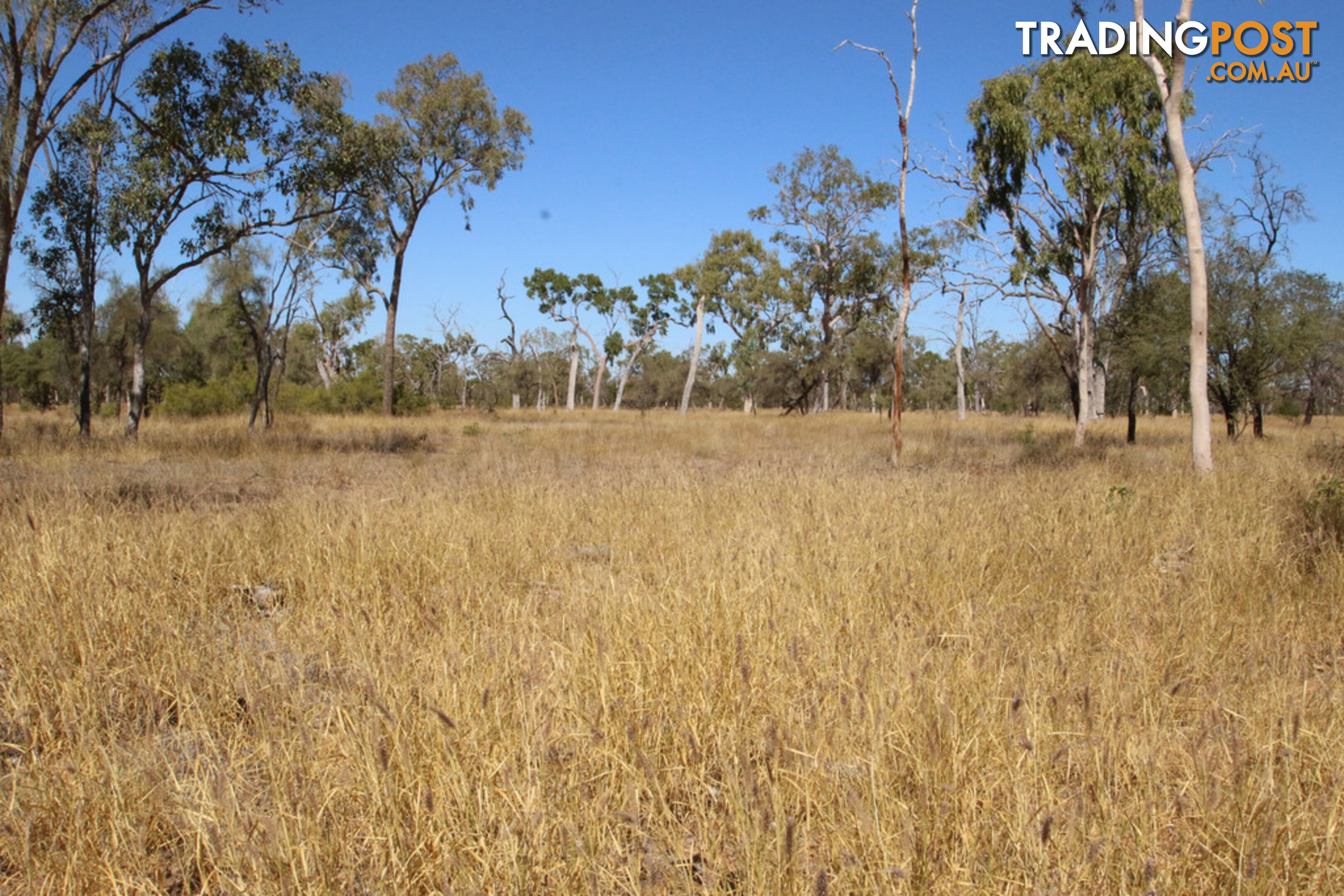 Lara Station Landsborough Highway BARCALDINE QLD 4725