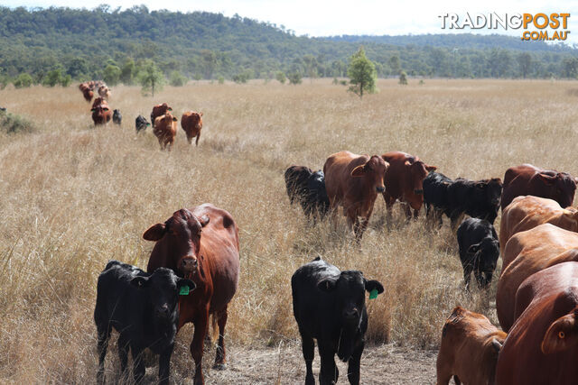 Lot 3 Burnett Highway EIDSVOLD QLD 4627