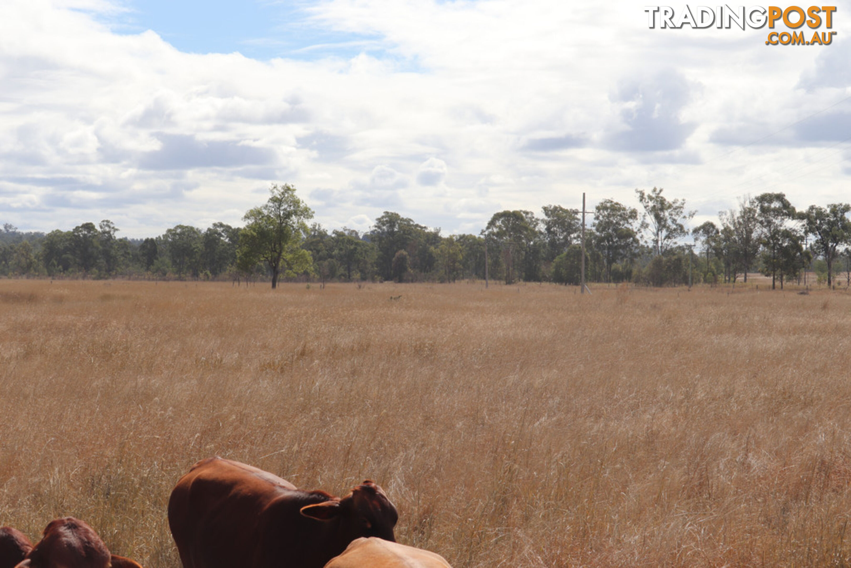 Lot 3 Burnett Highway EIDSVOLD QLD 4627