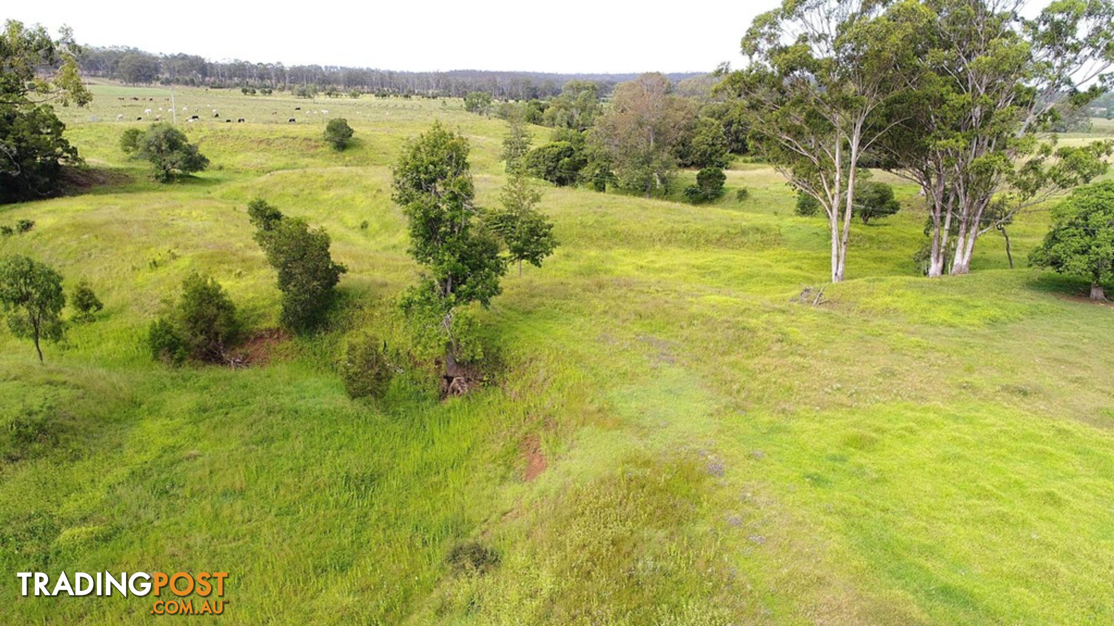 437 Reifs Road, Manyung MURGON QLD 4605