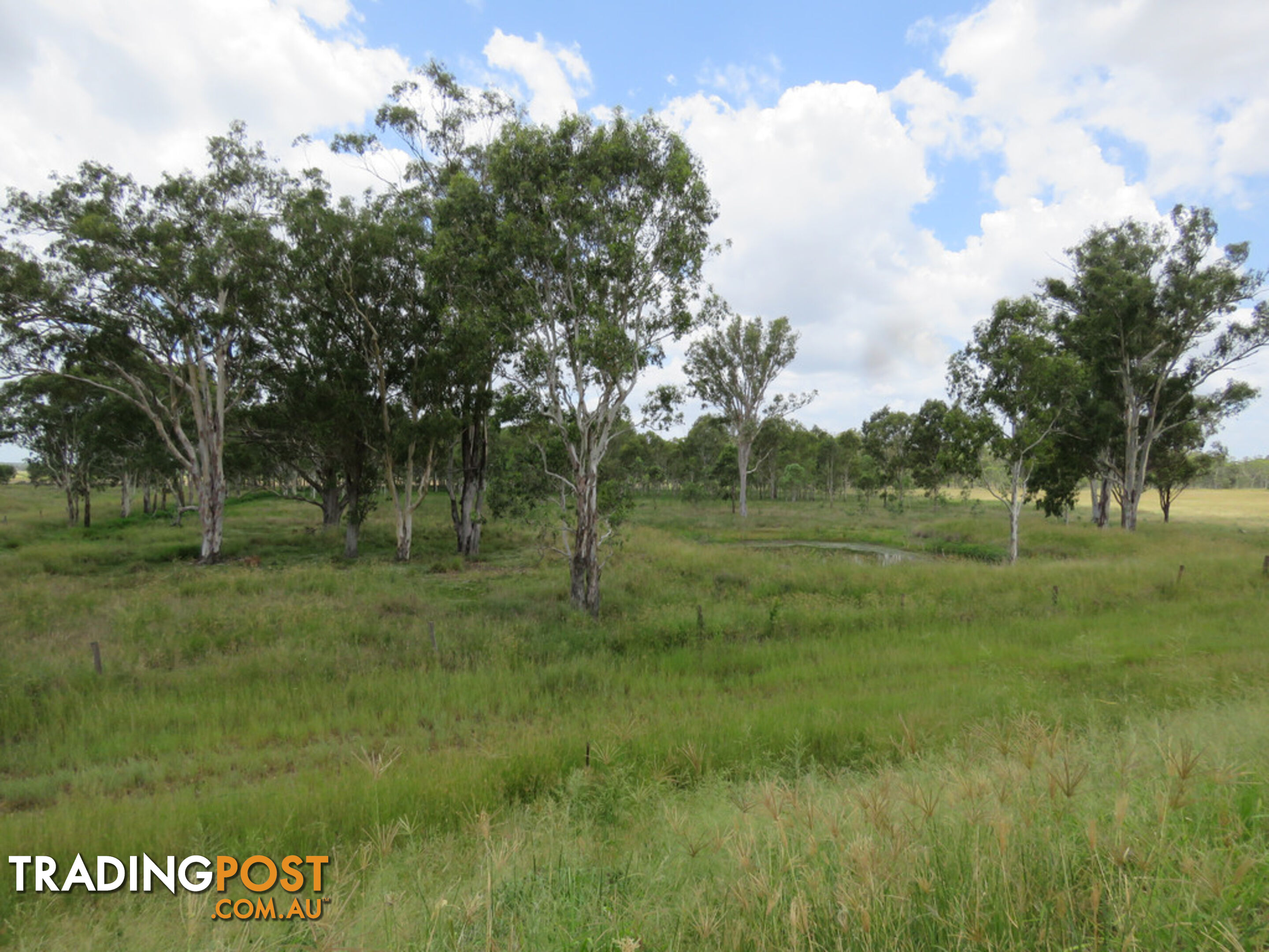 138-168 Mondure-Wheatlands Road WONDAI QLD 4606