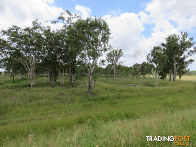 138-168 Mondure-Wheatlands Road WONDAI QLD 4606