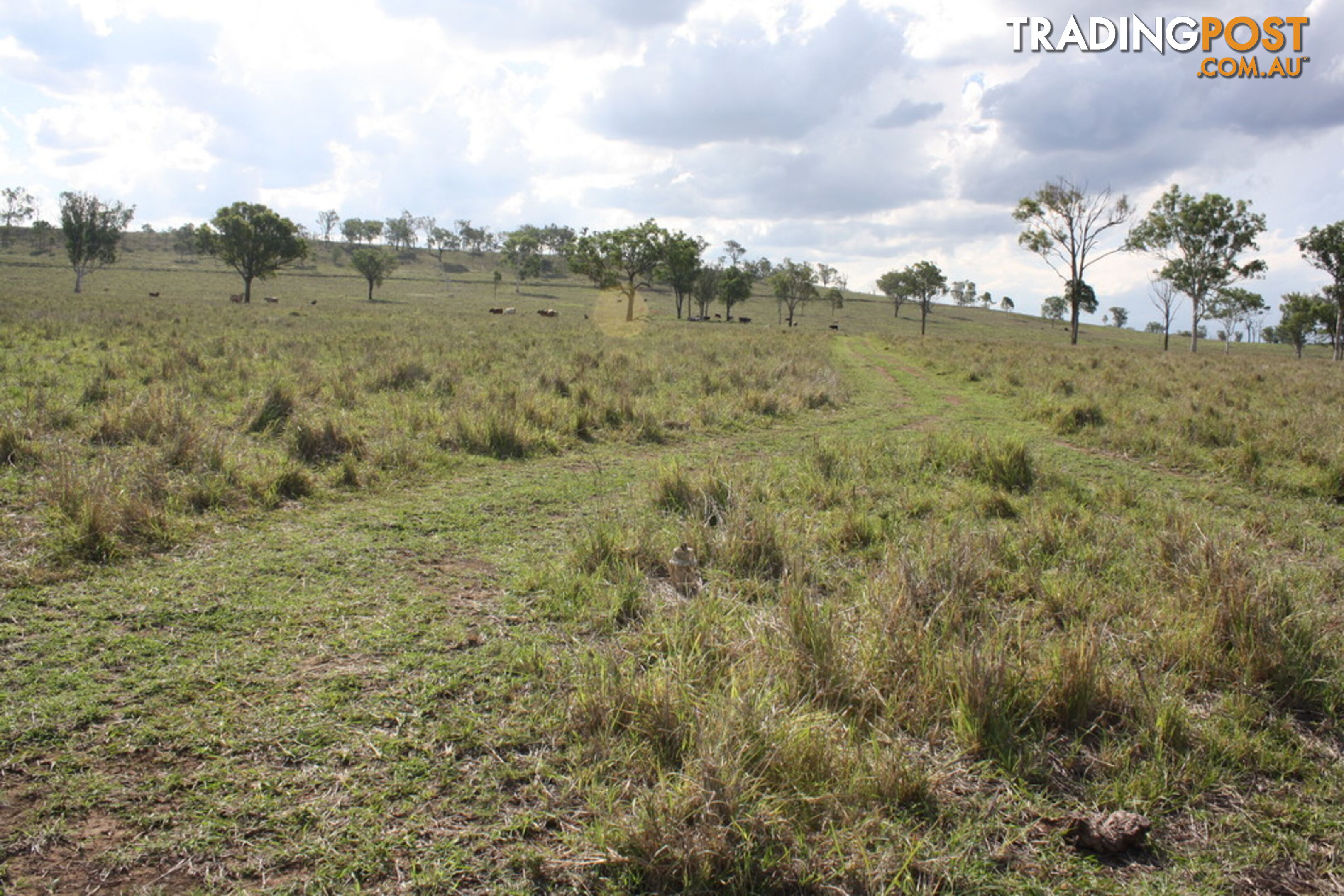 379 Old Coach Road BIGGENDEN QLD 4621