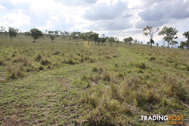 379 Old Coach Road BIGGENDEN QLD 4621