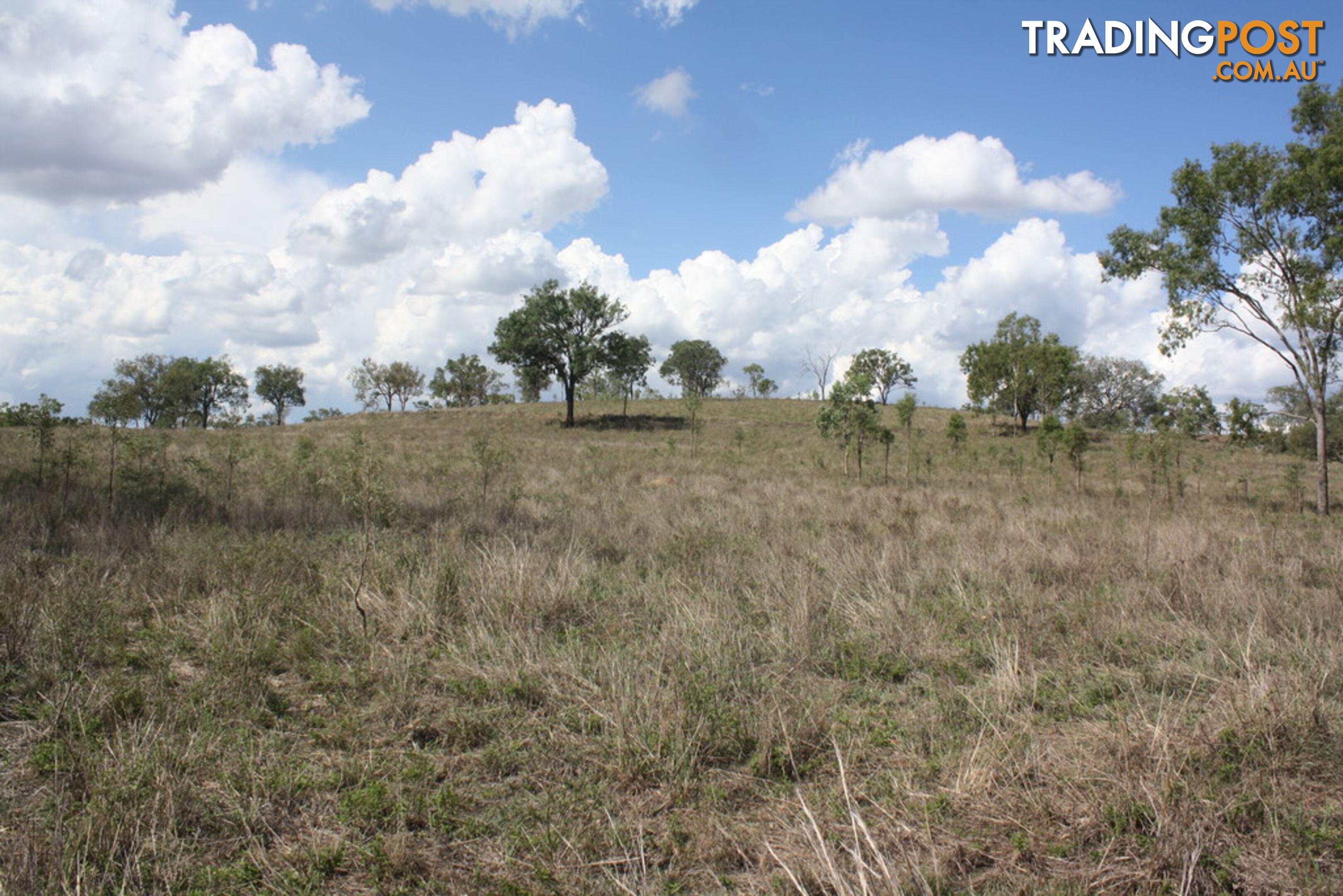 379 Old Coach Road BIGGENDEN QLD 4621