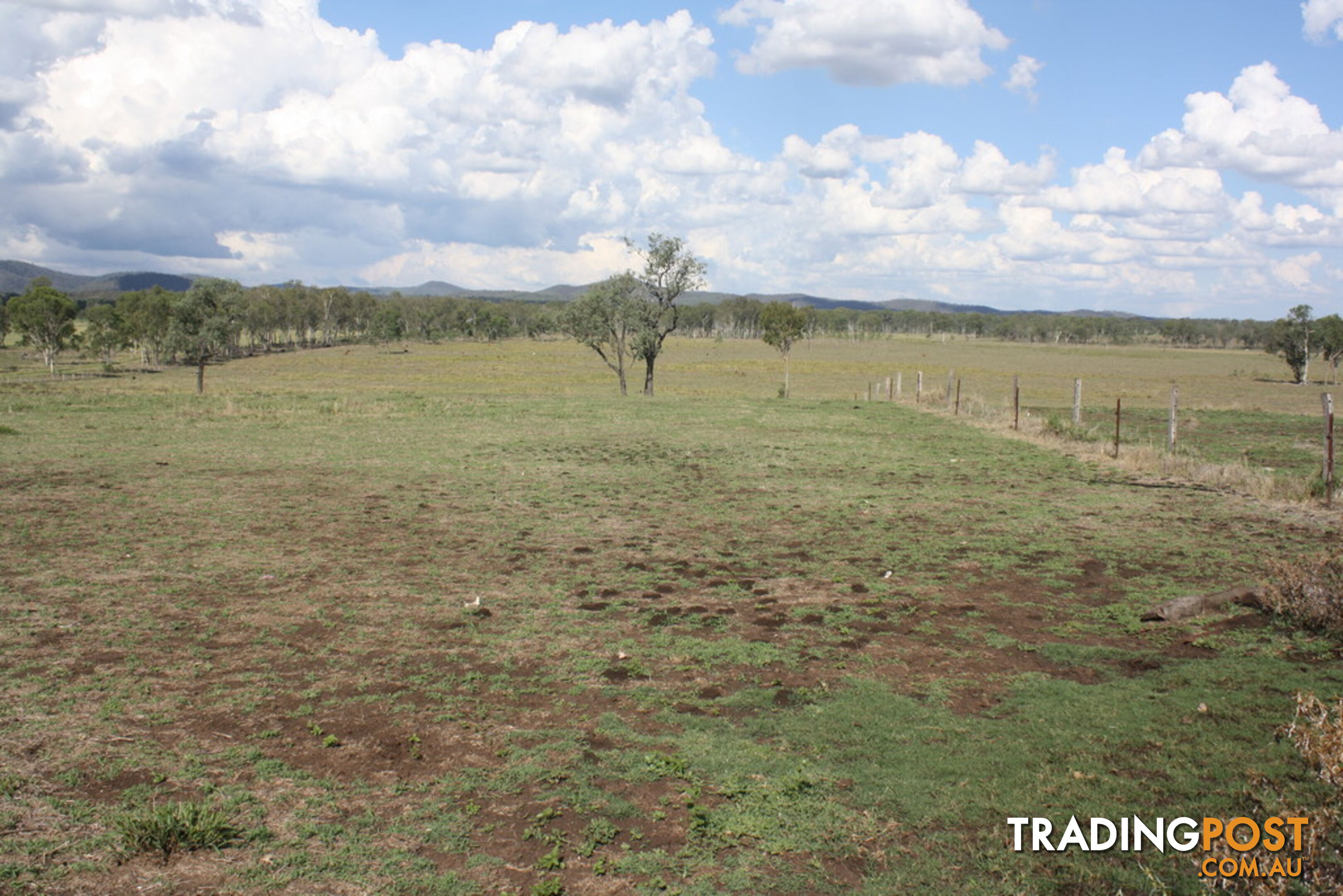 379 Old Coach Road BIGGENDEN QLD 4621