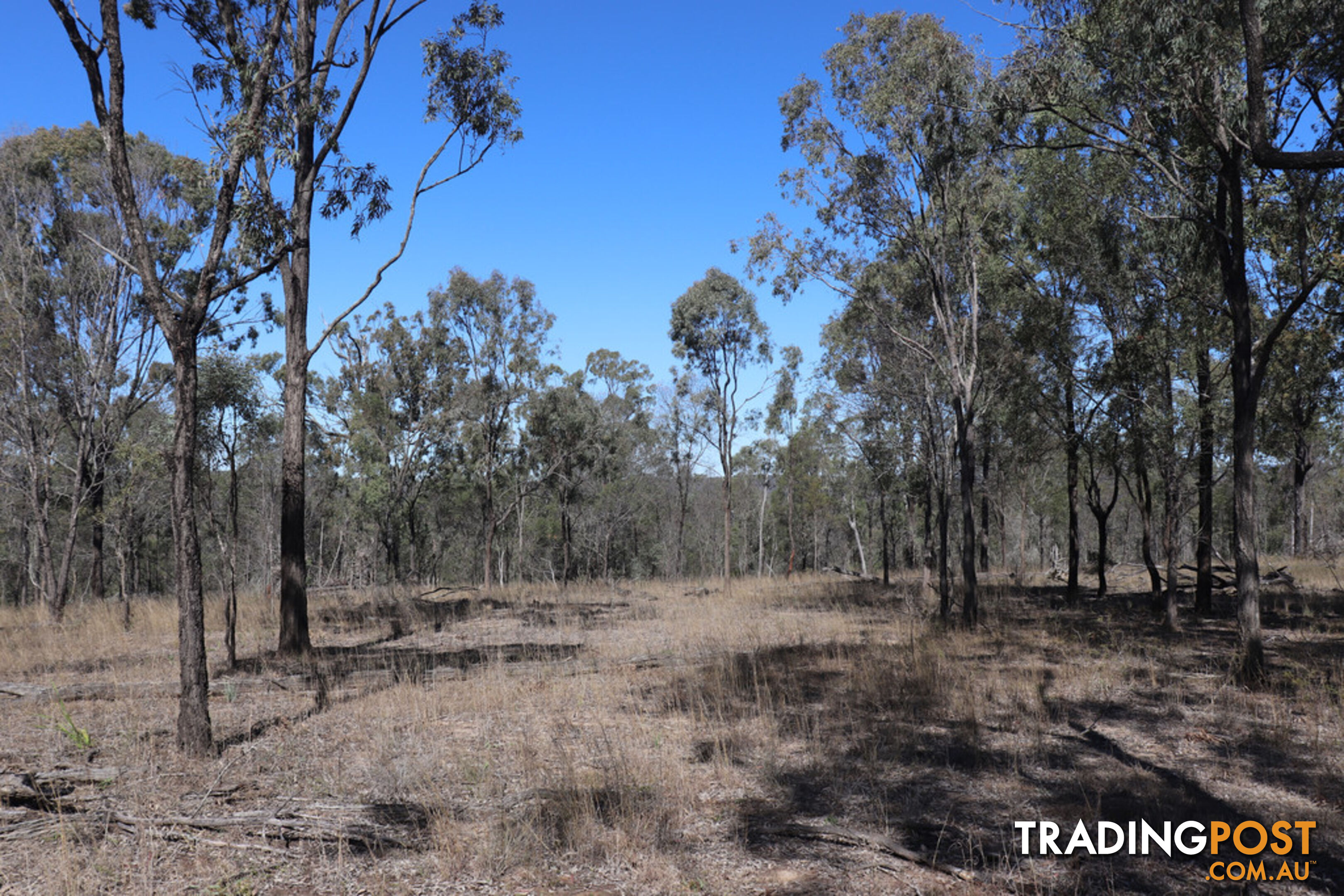 Lot 87 Youlambie Road MONTO QLD 4630