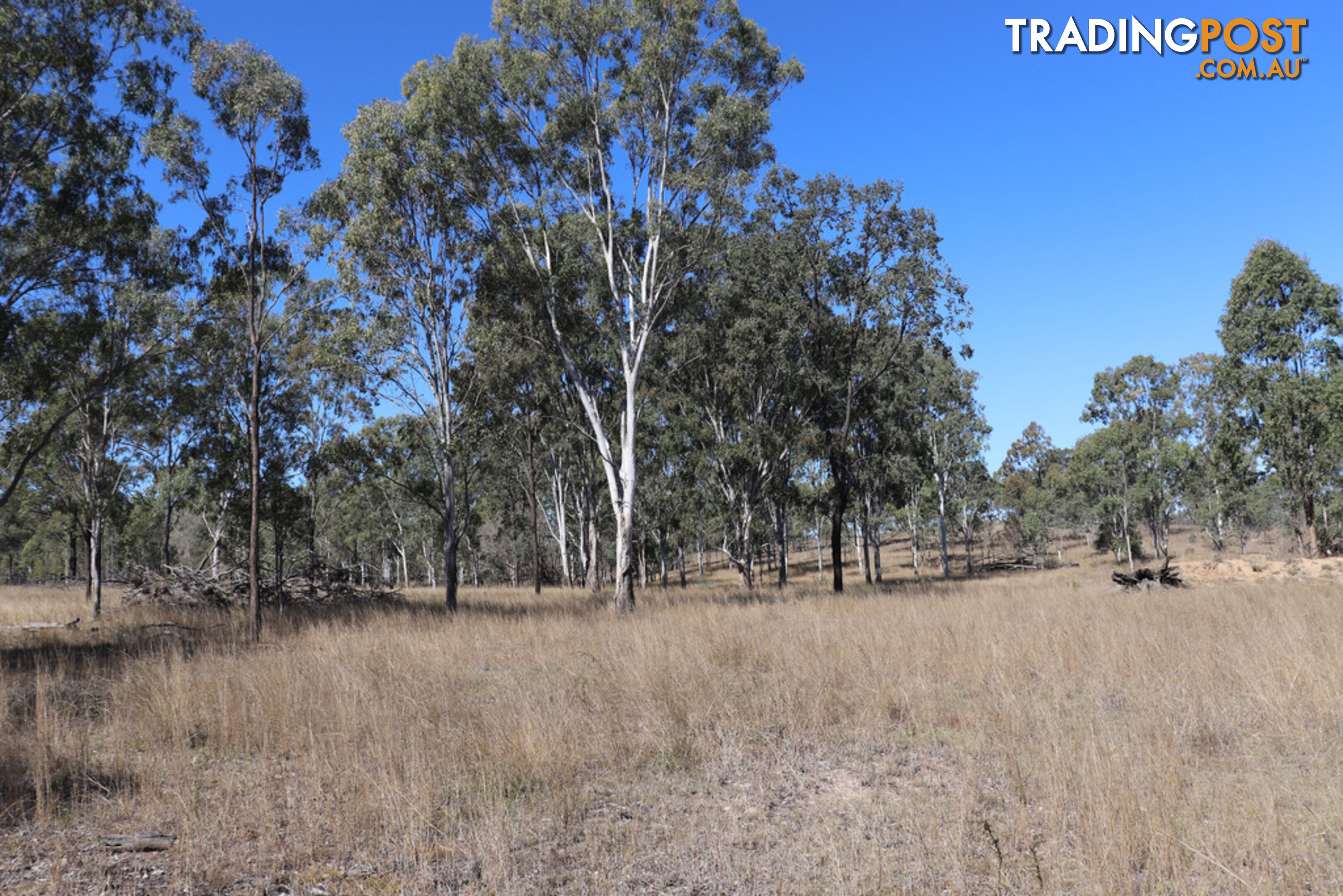 Lot 87 Youlambie Road MONTO QLD 4630