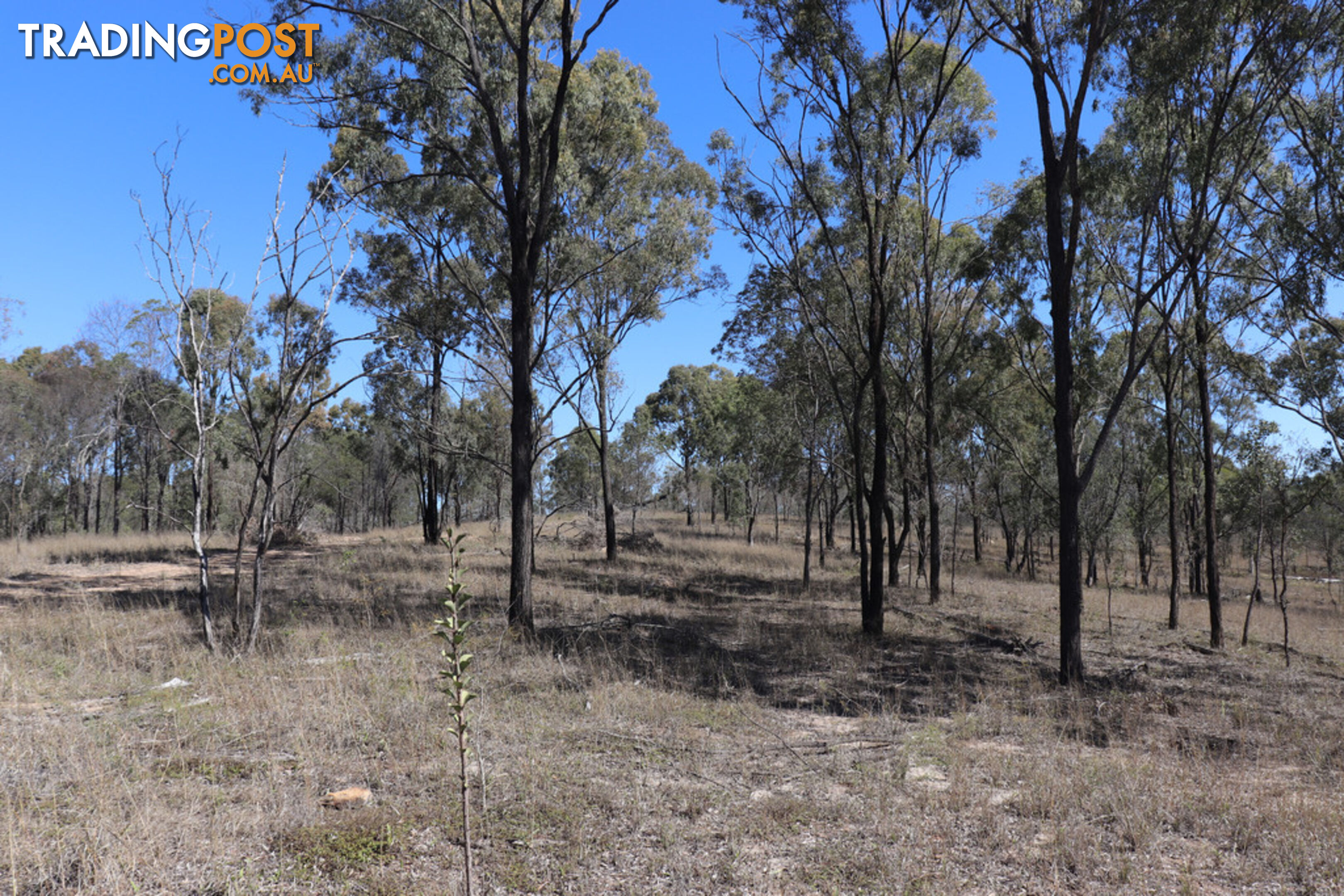 Lot 87 Youlambie Road MONTO QLD 4630