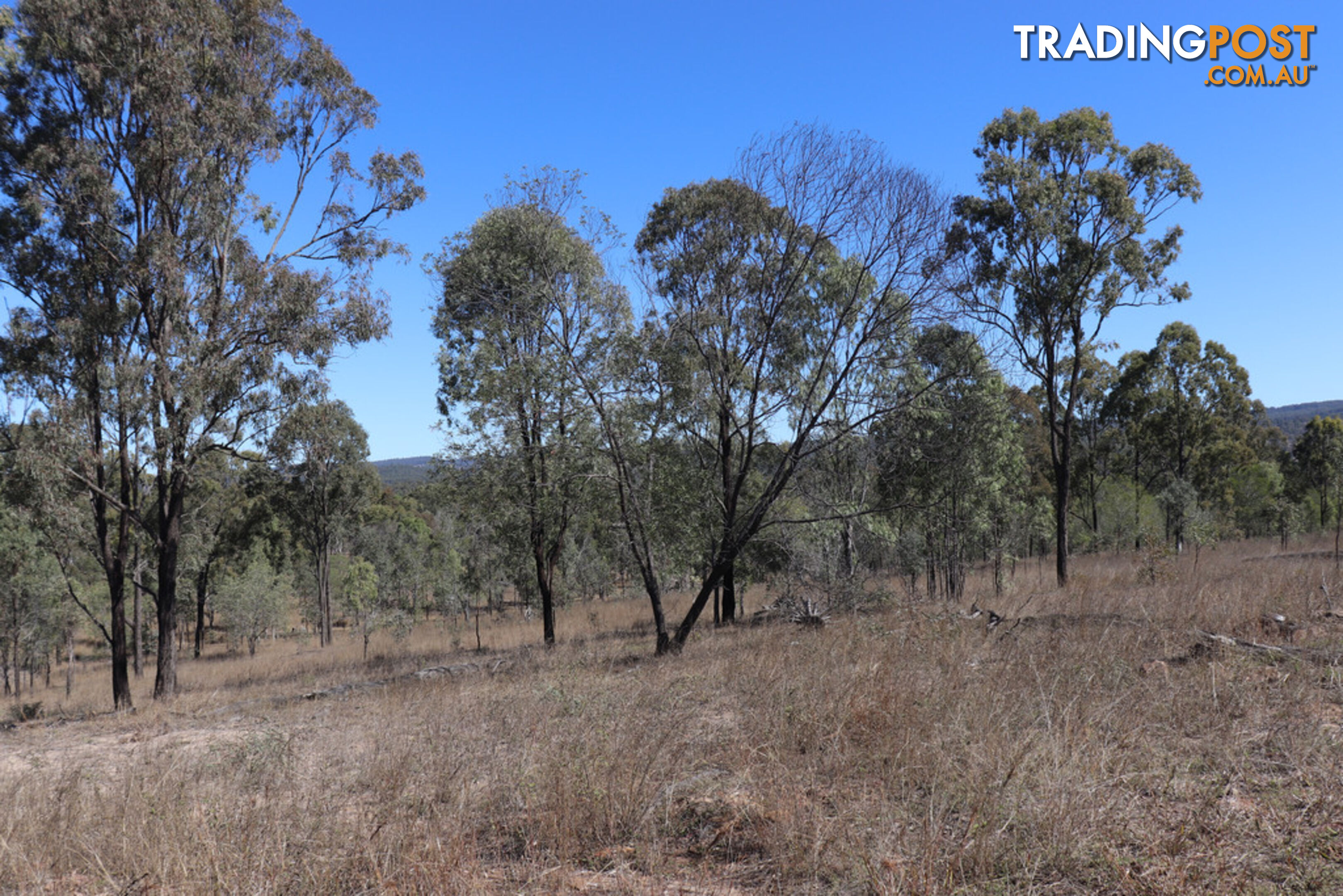 Lot 87 Youlambie Road MONTO QLD 4630