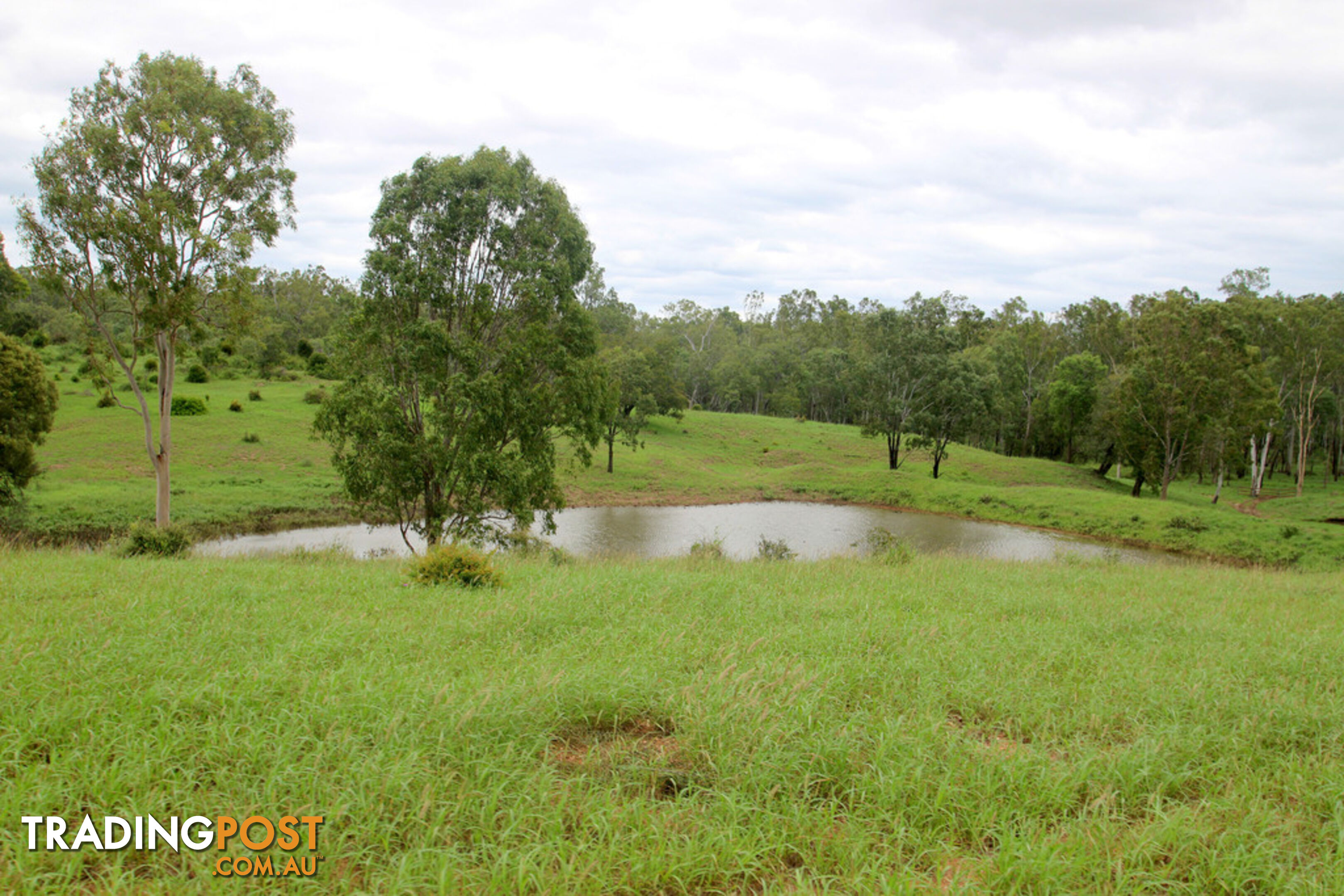 1886 Duaringa-Biloela Road DUARINGA QLD 4712