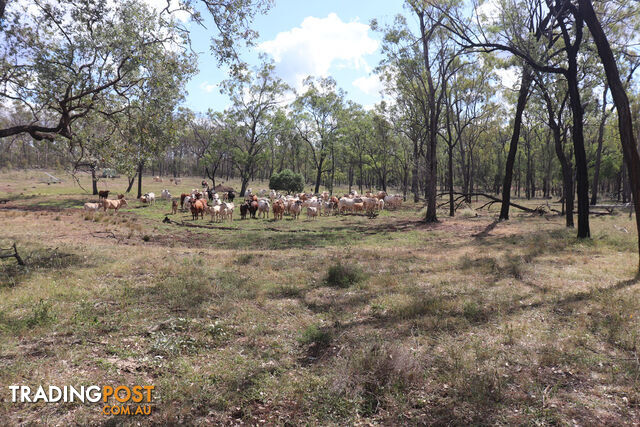 L 17, 55 & 62 Old Burrandowan Road, Diamondy DURONG QLD 4610