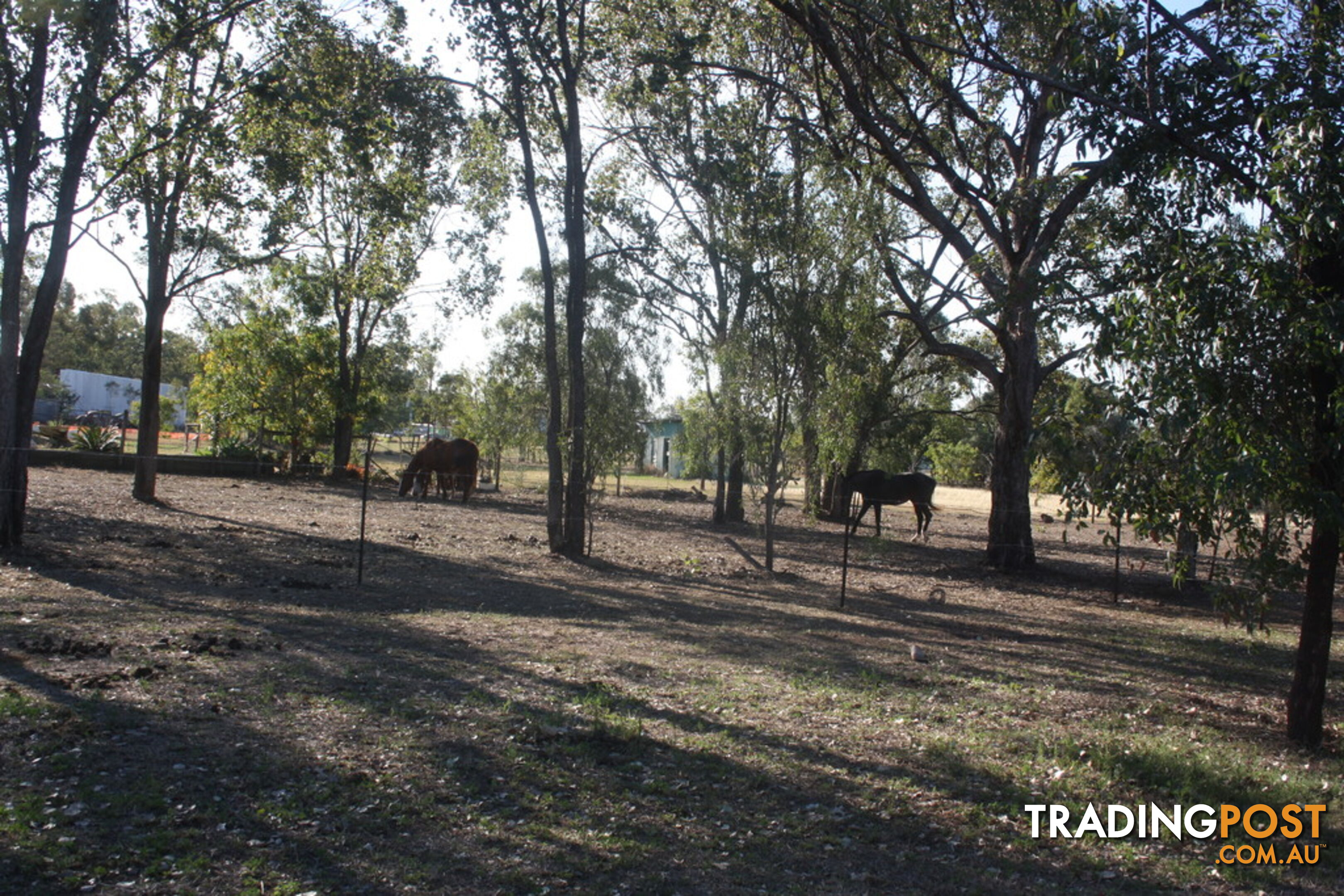 36 Warton Street GAYNDAH QLD 4625