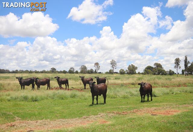 1285 Kingaroy Burrandowan Road, Wattle Grove KINGAROY QLD 4610