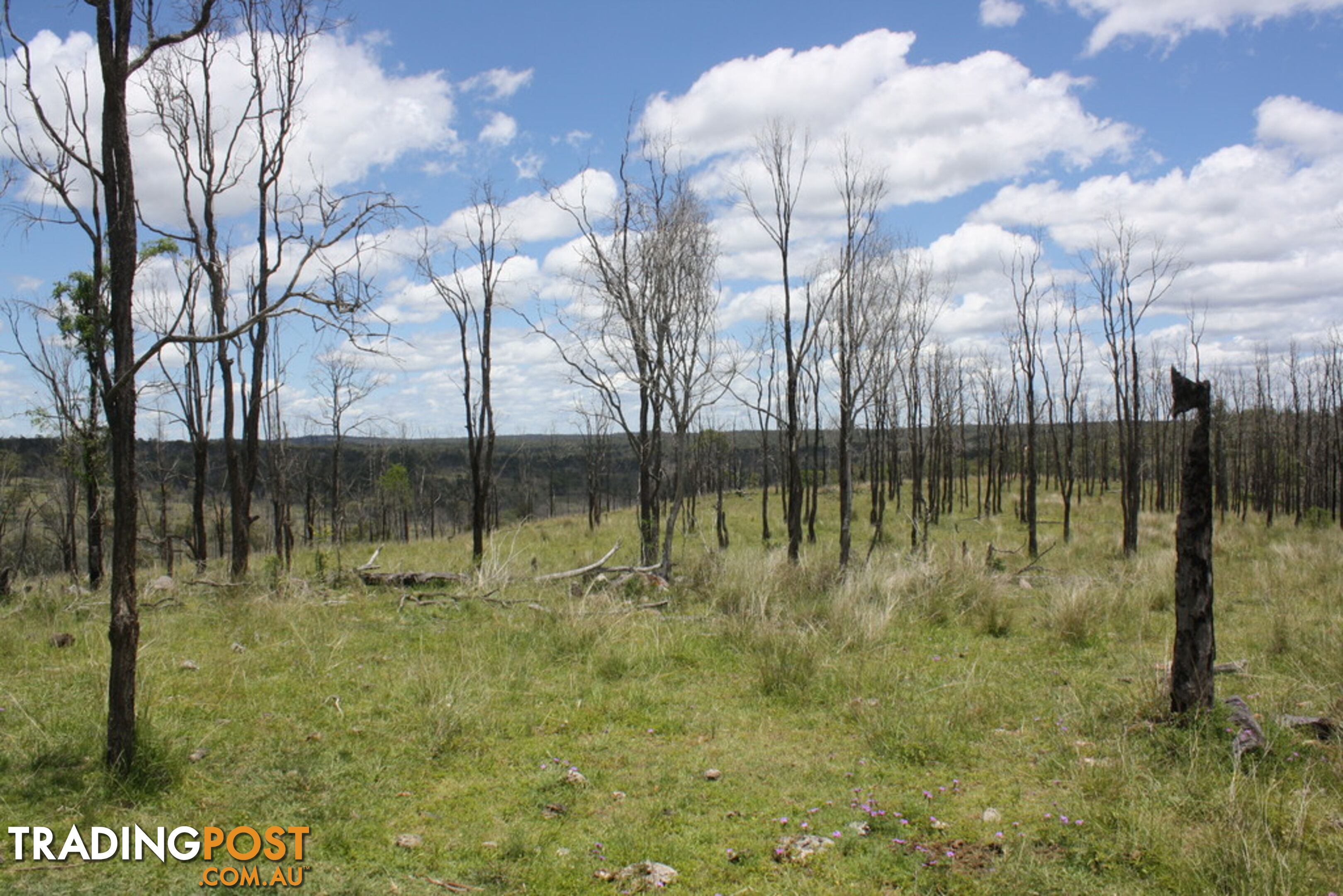 'Manar' Manar Road MUNDUBBERA QLD 4626