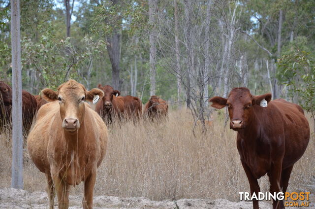 'Manar' Manar Road MUNDUBBERA QLD 4626