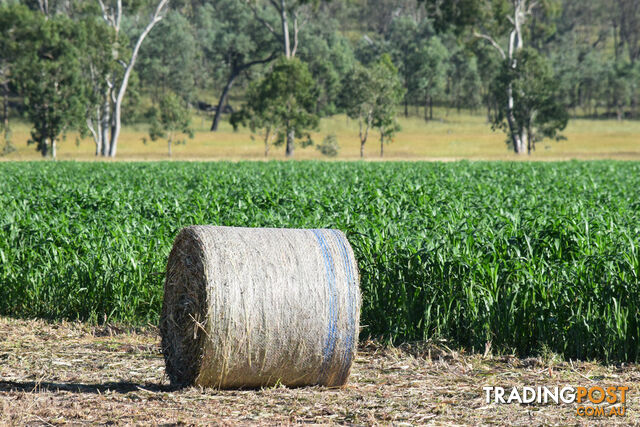 3269 Murgon-Gayndah Road MURGON QLD 4605