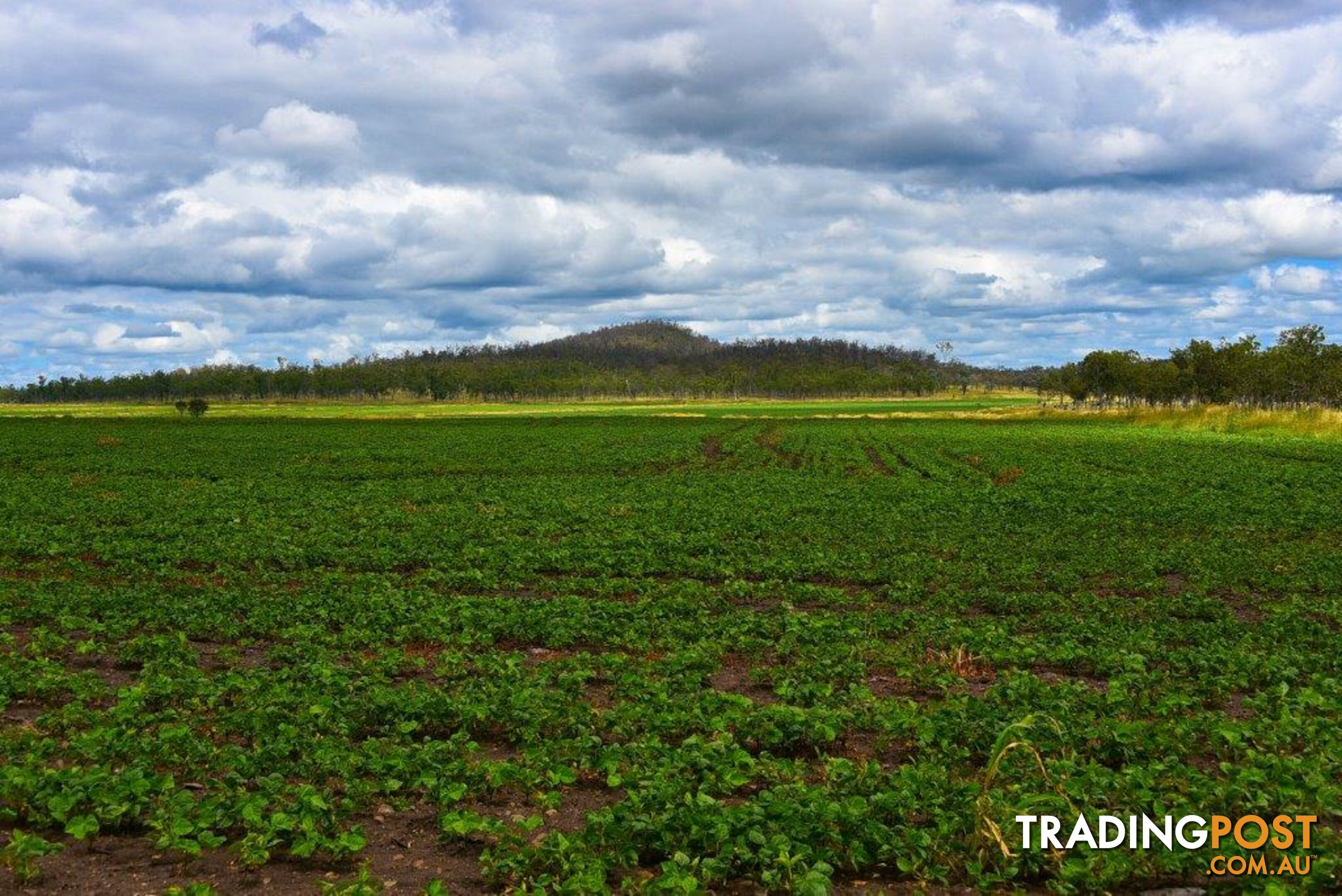 3269 Murgon-Gayndah Road MURGON QLD 4605