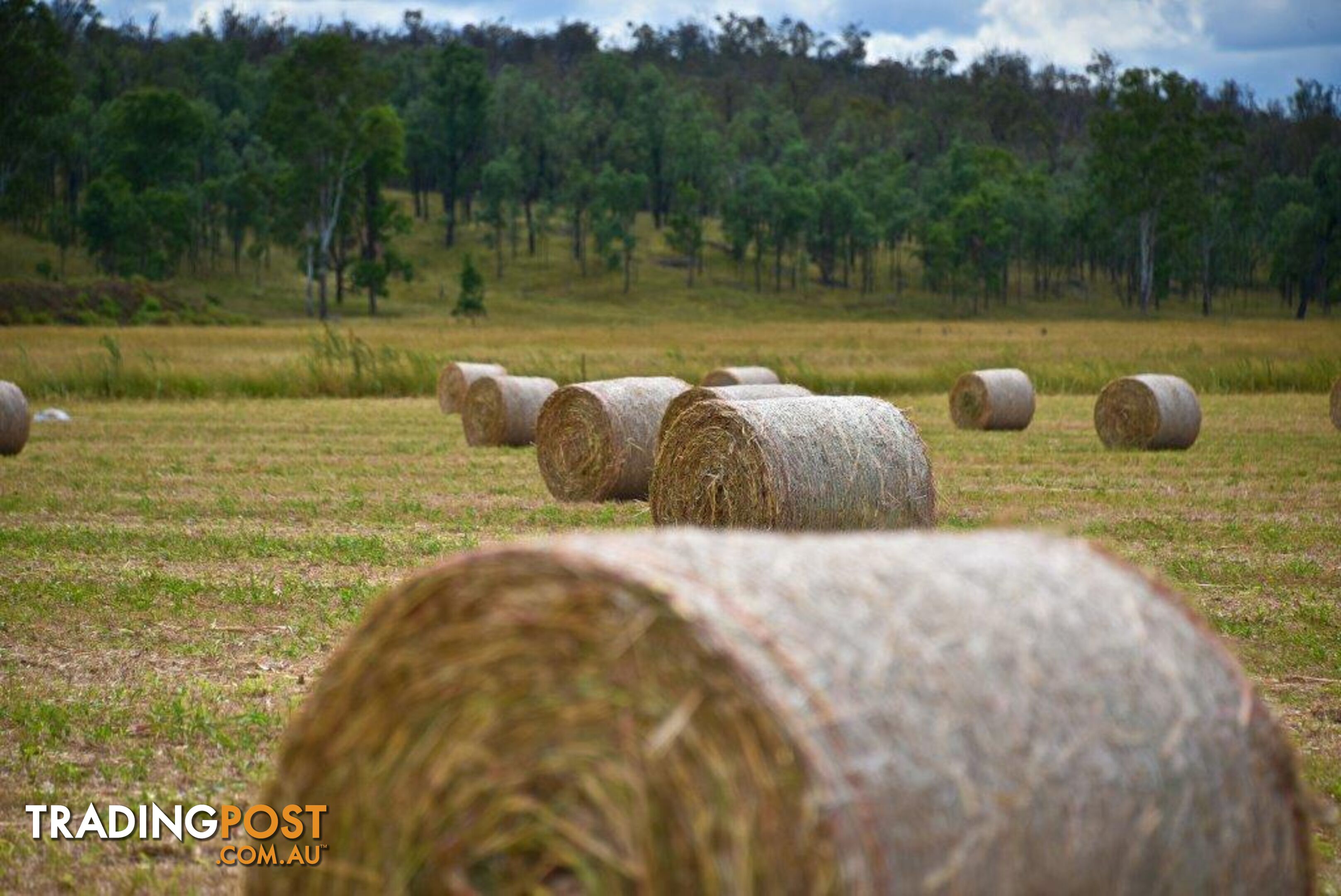 3269 Murgon-Gayndah Road MURGON QLD 4605