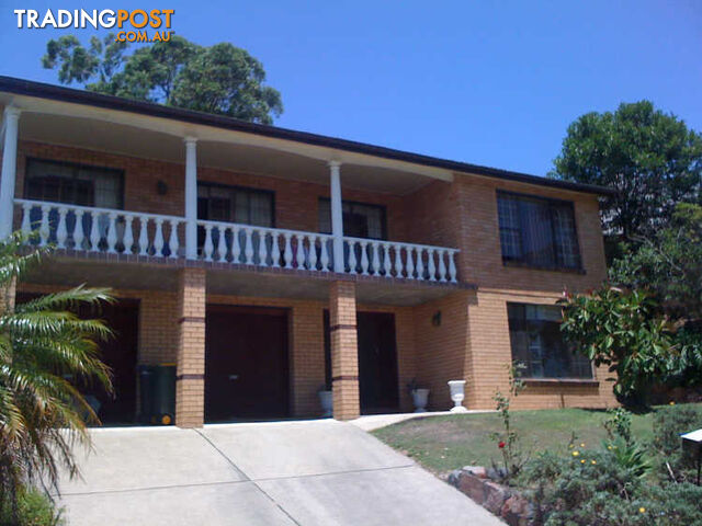 17 Princeton Avenue ADAMSTOWN HEIGHTS NSW 2289