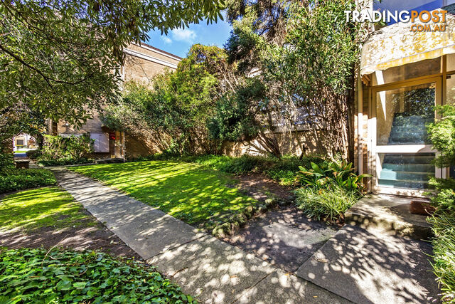 11 47-49 Rose St BOX HILL VIC 3128