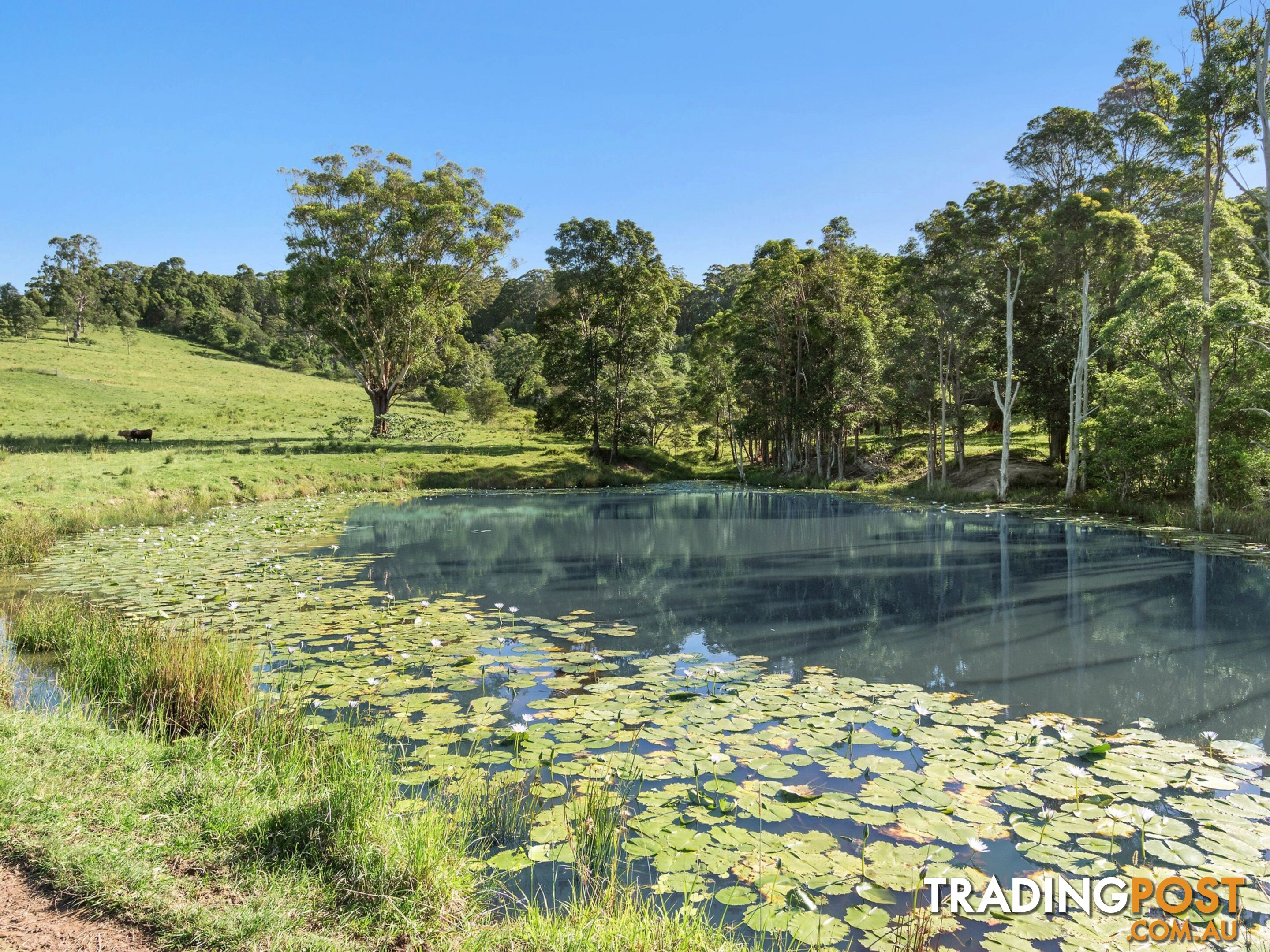 102 & 103 Thurgates Lane MEERSCHAUM VALE NSW 2477