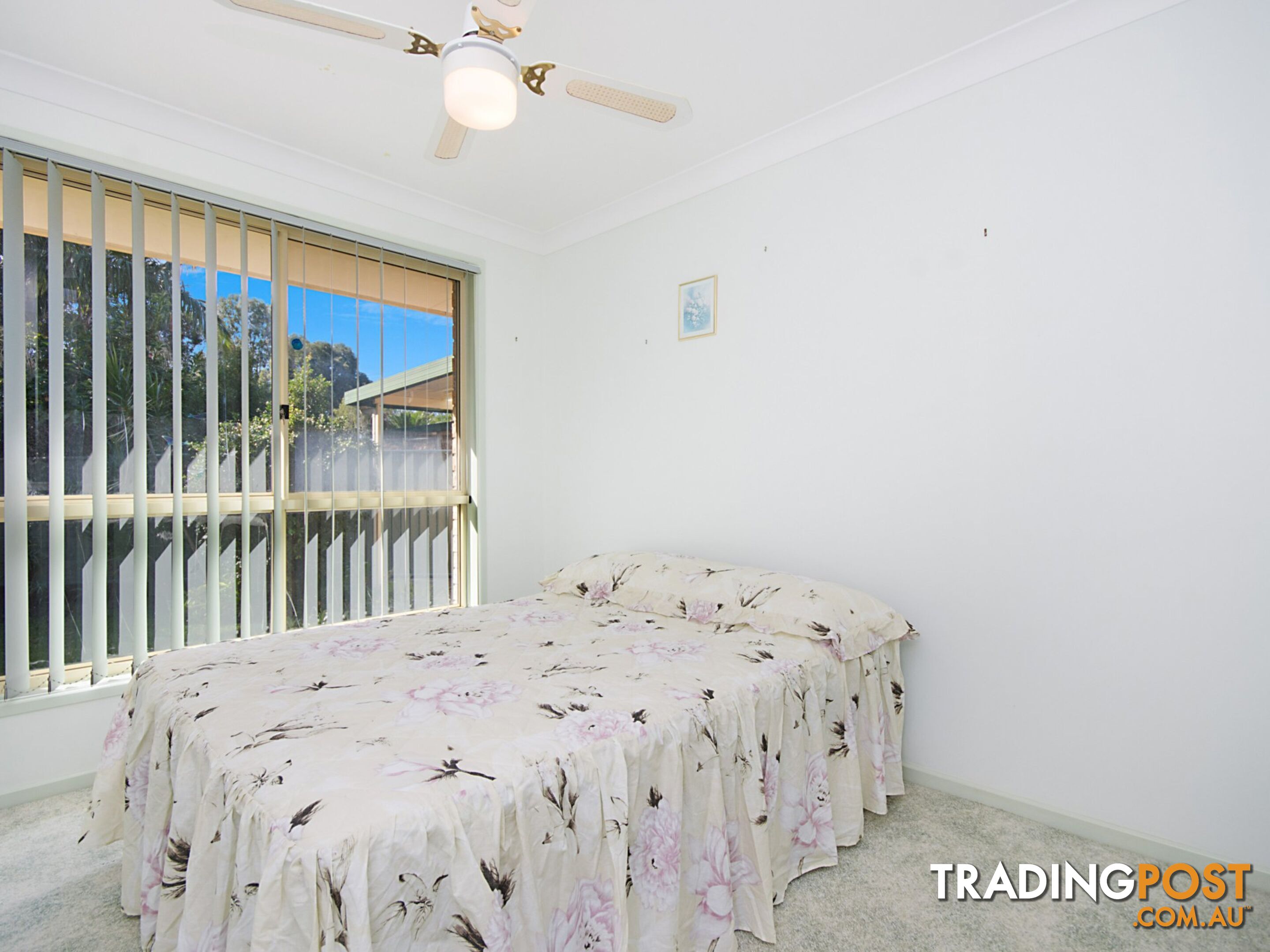 1/8 Seahorse Place BALLINA NSW 2478