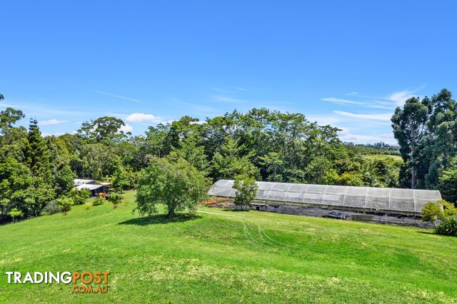 407 Humpty Back Road PEARCES CREEK NSW 2477