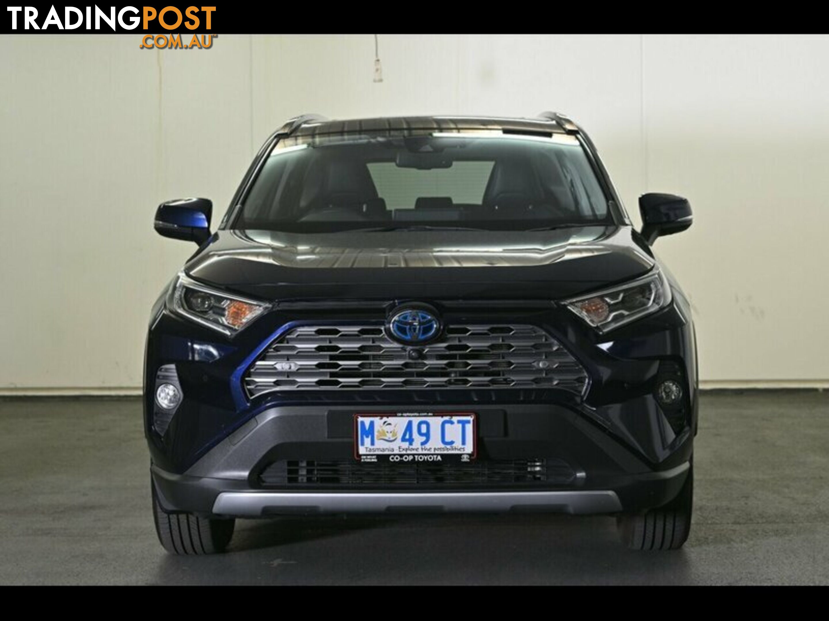 2019 TOYOTA RAV4 CRUISER EFOUR AXAH54R WAGON