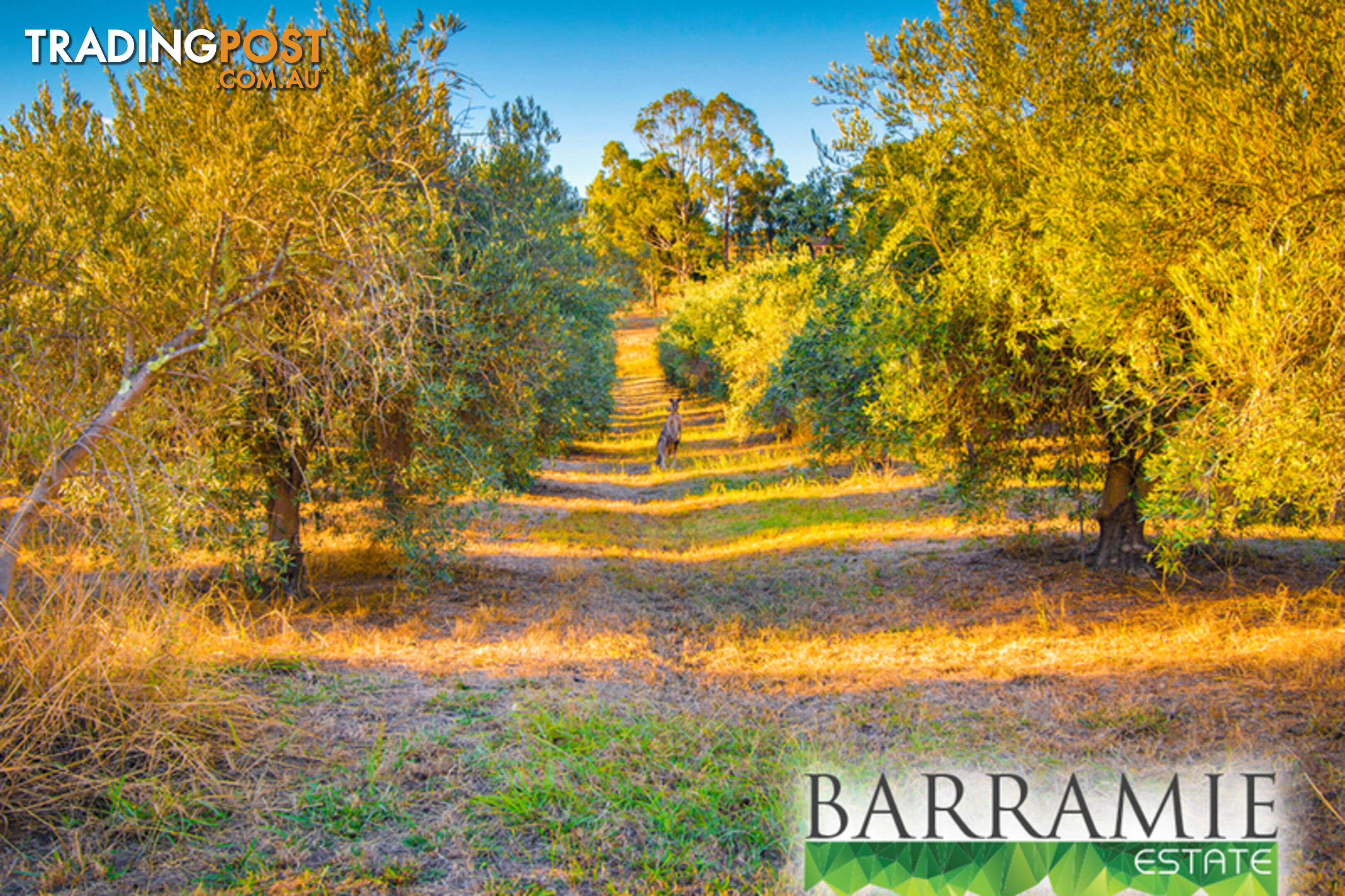 Barramie Park Estate 34 Goldsworthy Street Springdale Heights NSW 2641