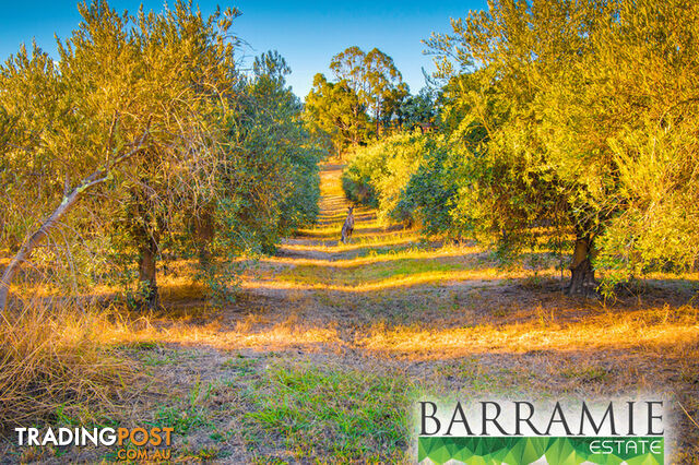 Barramie Park Estate 34 Goldsworthy Street Springdale Heights NSW 2641