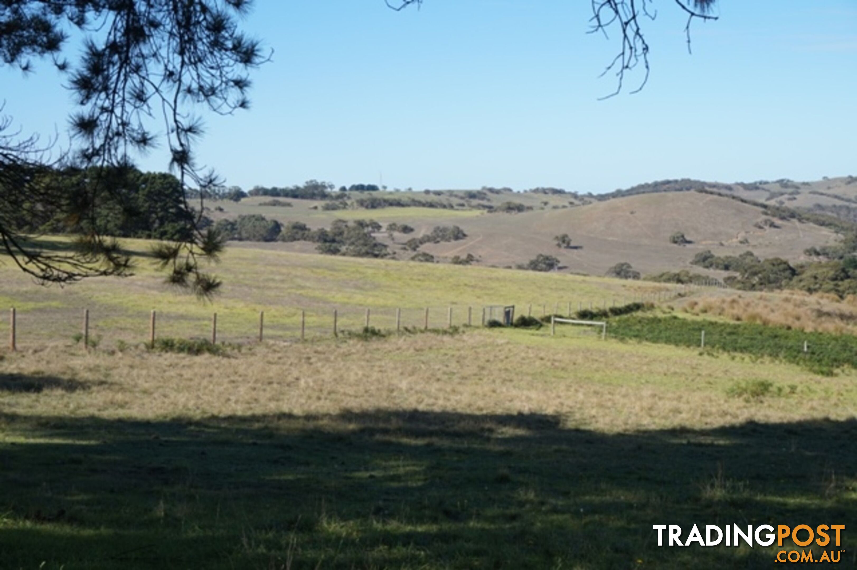 Lot 52 Pambula Road Hindmarsh Tiers SA 5202