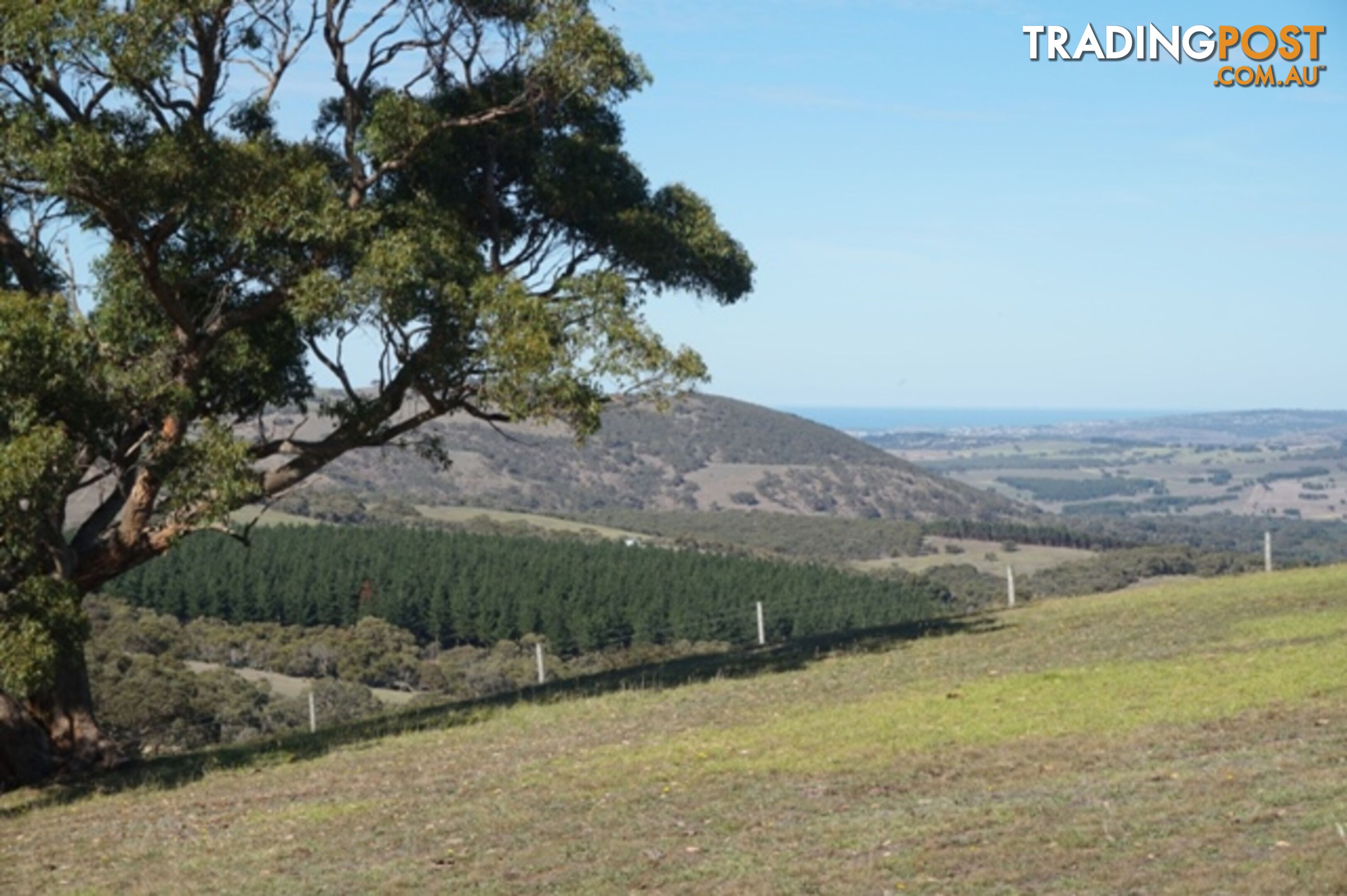 Lot 52 Pambula Road Hindmarsh Tiers SA 5202